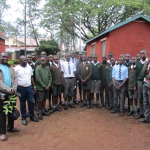 establishing schools and community based monitoring of the straw coloured fruit bats in kenya